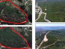 beykoz orman talanı