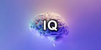 Türkiye’de IQ seviyesi en yüksek şehirler belli oldu türkiye iq
