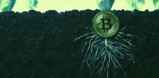 Bitcoin Taproot güncellemesi nedir? Bitcoin Taproot