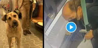 Boji yapmamış: İBB Sözcüsü Ongun şok görüntüleri paylaştı!