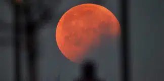 Astroloji: 15 – 21 Kasım haftalık burç yorumları haftalık burç yorumları