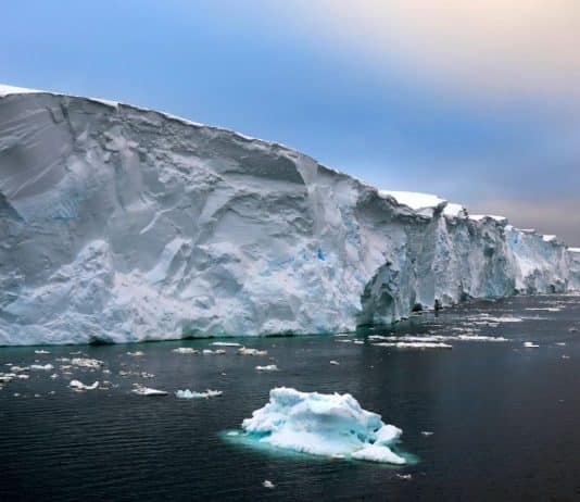 kıyamet günü buzulu