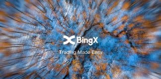 bingx feed