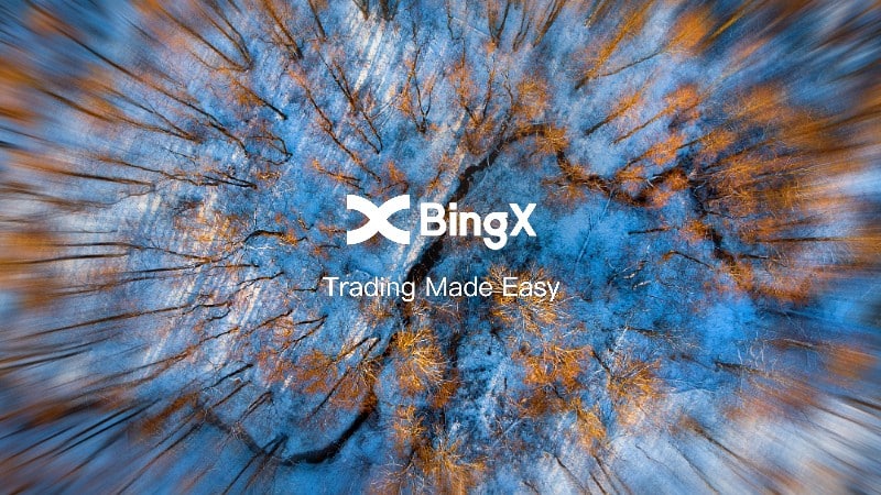 bingx feed