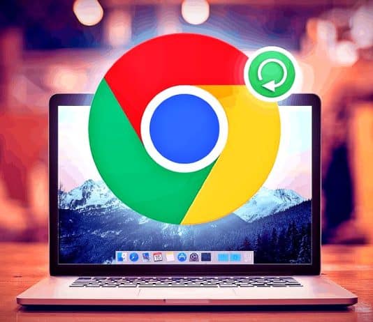 chrome eklentileri