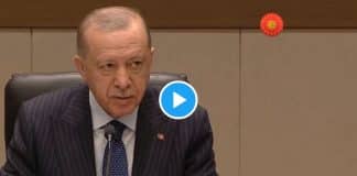erdoğan katar
