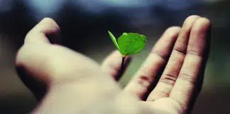 Hayata anlam katacak 15 tavsiye! Hayata anlam