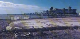 AKP’li belediye, kaplumbağa yumurtlama sahasına inşaat yaptı! kaplumbağa inşaat