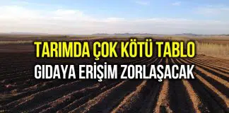 Gıdaya erişim zorlaşacak: Çiftçi gübre atamadı, ekim ve sulama yapamadı! çiftçi ekim gübre
