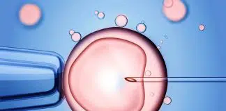 Tüp bebek tedavisinde yumurtalar neden boş çıkar? Tüp bebek
