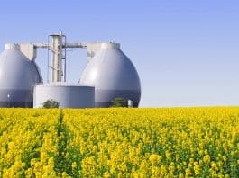 düşük karbonlu gaz