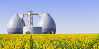 Küresel Yenilenebilir ve Düşük Karbonlu Gaz Raporu düşük karbonlu gaz