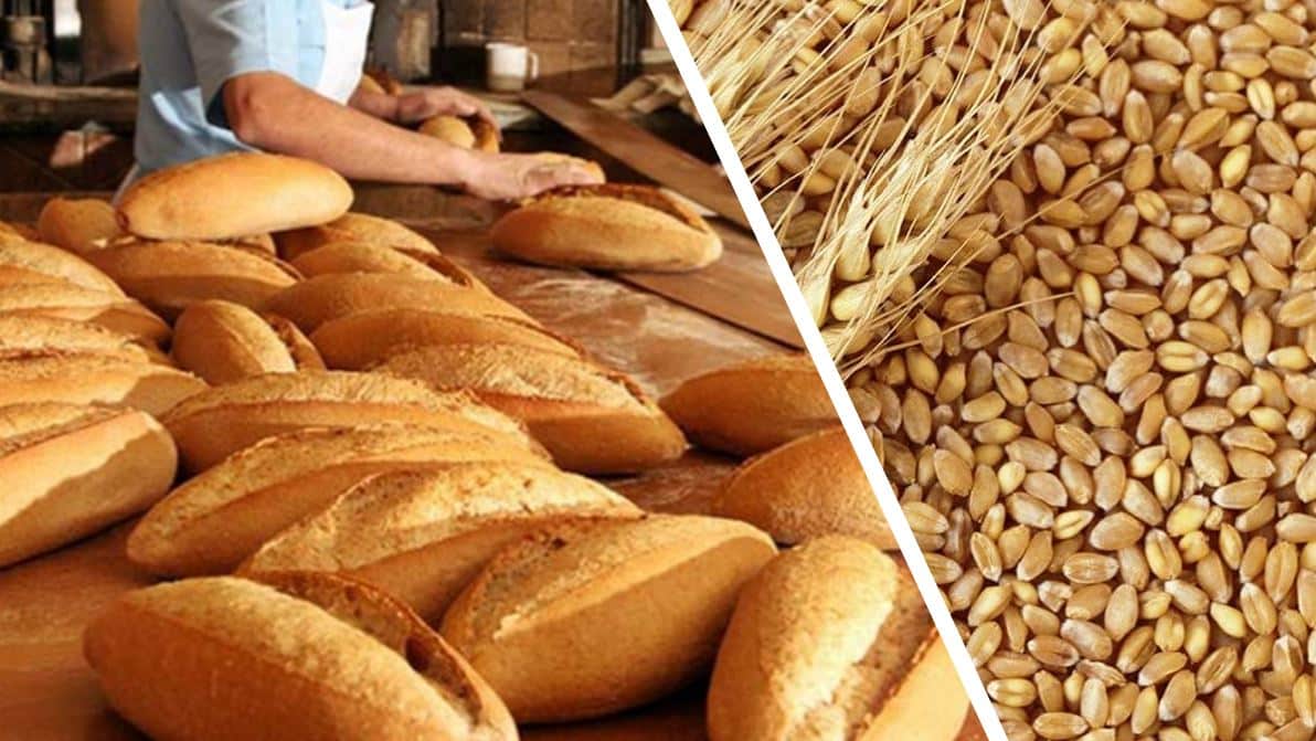 buğday ekmek