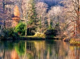 piknik yapılacak yerler