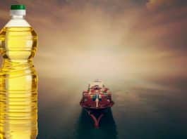 Ekonominin gidişatı