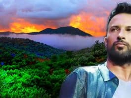 Tarkan zeytin