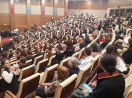 danıştay istanbul sözleşmesi