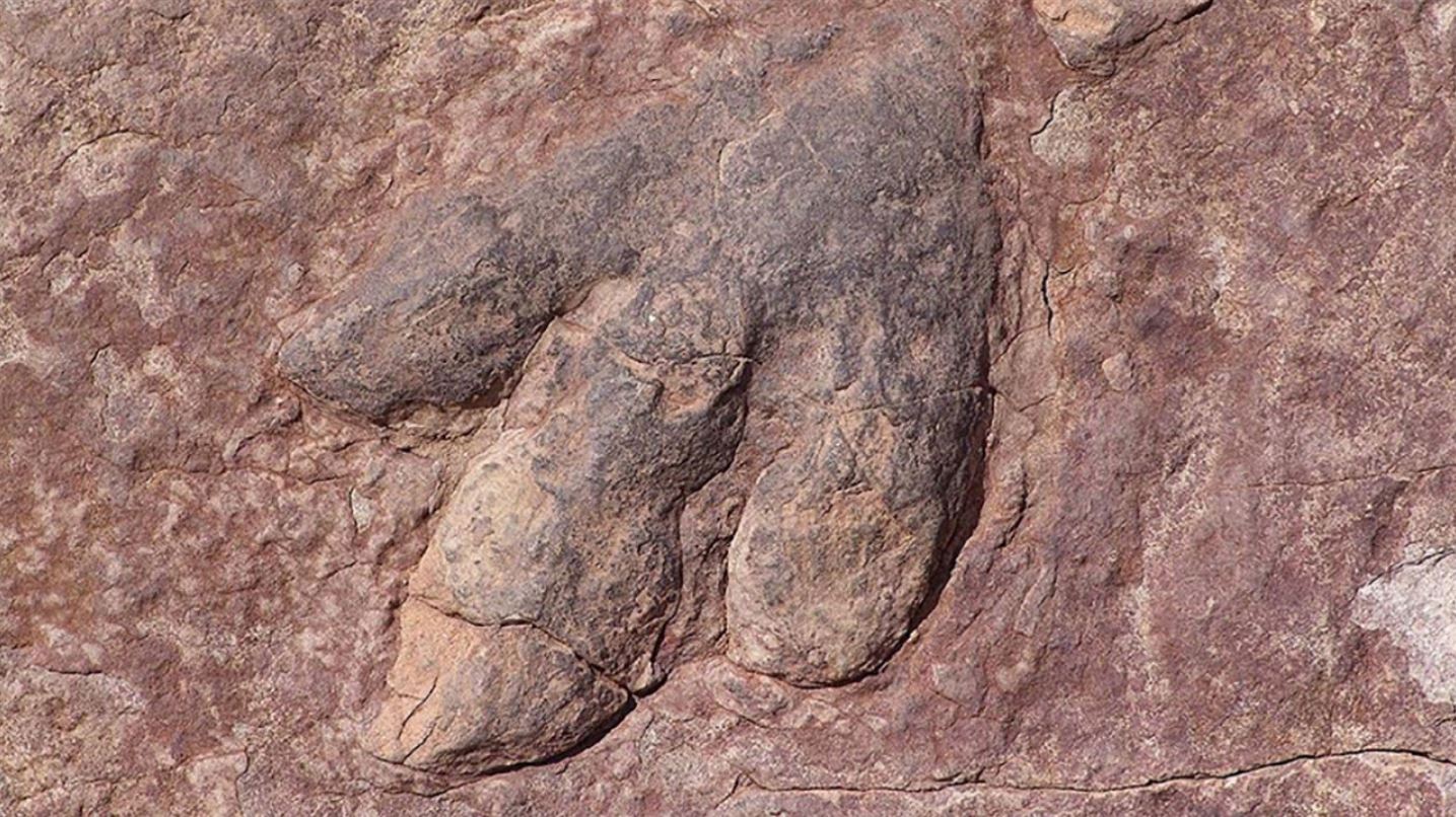dinozor meteor fosili
