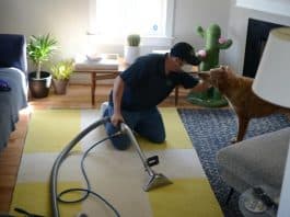 halı yıkamacının