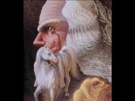 optik illüzyon testi