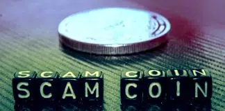 Kripto dünyasında scam projeleri nasıl anlarız? kripto Scam