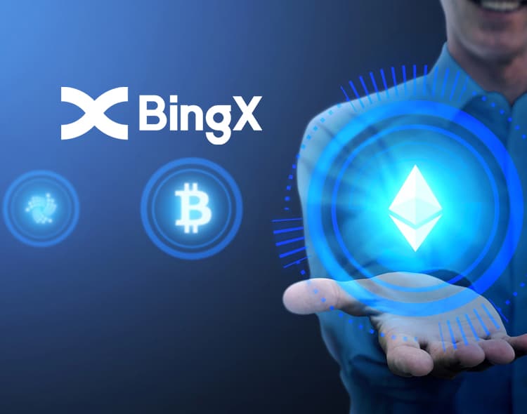 bingx kripto