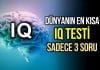 IQ testi