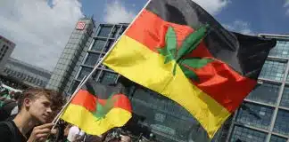 Almanya esrar kullanımını yasallaştırıyor almanya esrar