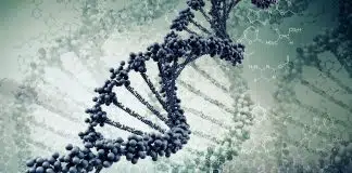 Kanser tedavisinde yeni bir eşik aşıldı: Epigenetik Kanser epigenetik