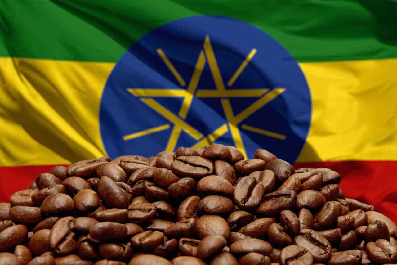 Etiyopya Kahvesi