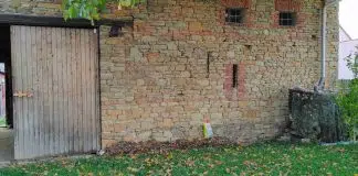 Fotoğrafta gizli kediyi 10 saniyede bulabilir misiniz? gizli kedi