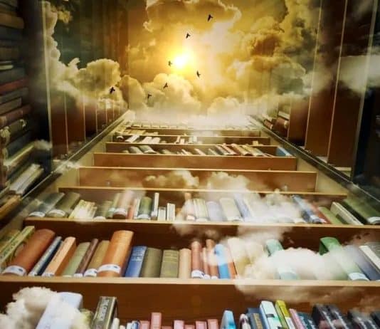 kütüphanedeki kitapları