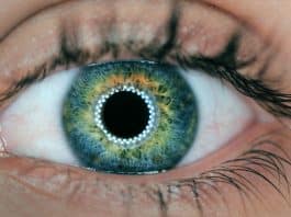 Yapay zeka gözünden