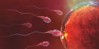 26 yıl önce dondurulmuş sperm ile dünyaya gelen mucize bebek dondurulmuş sperm