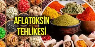 Aflatoksin nedir? Baharat, kuruyemiş ve süt ürünlerinde zehir saçan madde! Aflatoksin nedir