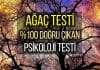 Ağaç Testi: Seçtiğiniz ağaç, çok isabetli kişilik analizi yapıyor!