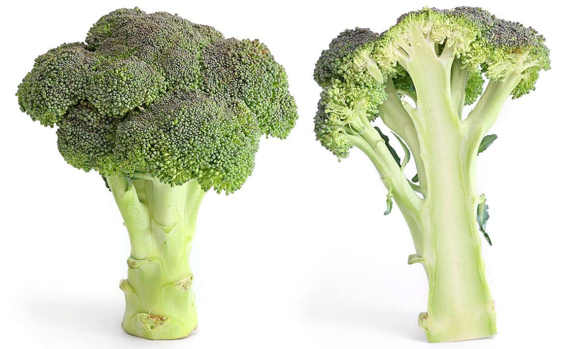 Brokoli sebze