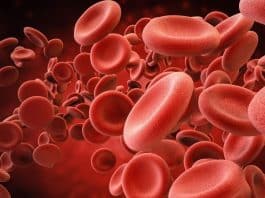 Laboratuvarda üretilen kan