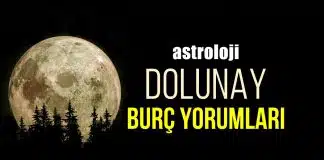 Astroloji: 8 Aralık İkizler burcunda Dolunay burç yorumları Dolunay burç yorumları
