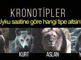 Kronotip