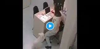 Veterinerin yanına gelen hayvanların verdiği tepkiler gündem oldu Veterinerin
