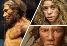 Neandertallerin DNA’ları 50 bin yıl önce idrar yapılan topraktan incelenecek! Neandertallerin genleri