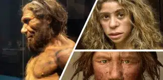 Neandertallerin DNA’ları 50 bin yıl önce idrar yapılan topraktan incelenecek! Neandertallerin genleri