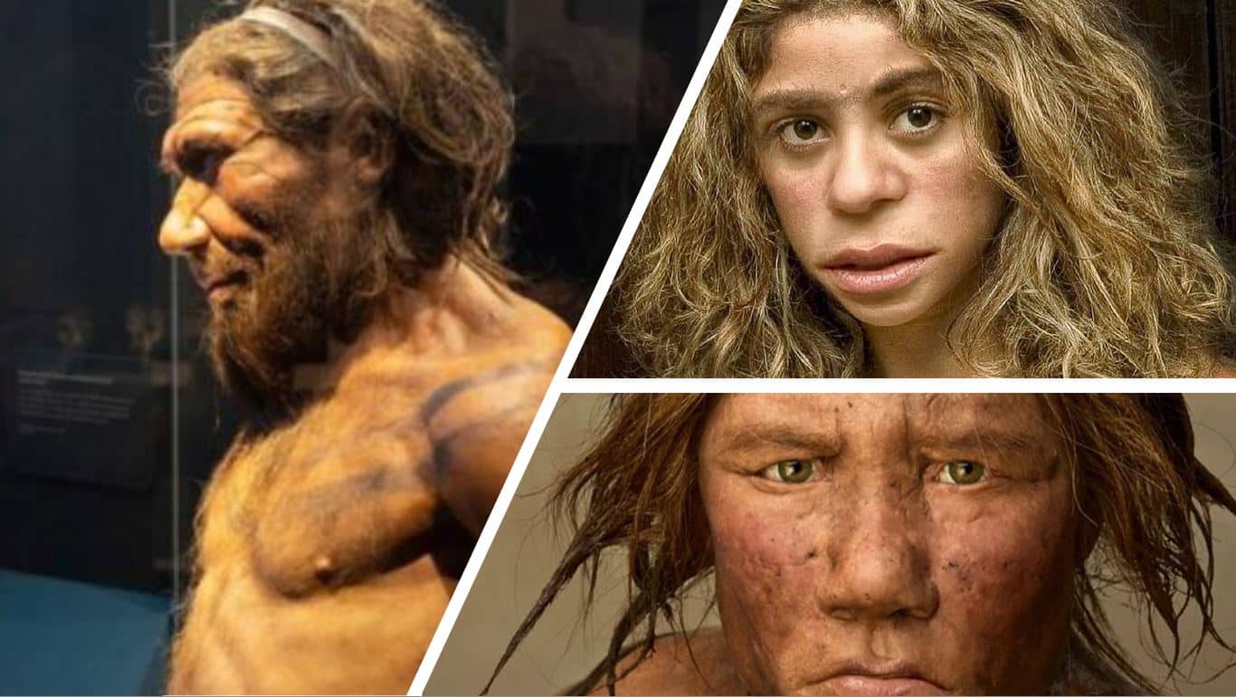 Neandertallerin genleri