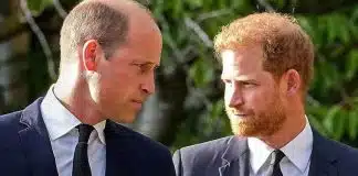 Prens Harry, Kraliyet’e dönmenin yollarını arıyor Prens Harry