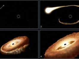 kara deliğin yıldızı