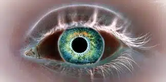 Yapay retina konusunda çığır açan araştırma yapay retinalar