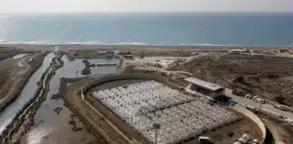 Tsunami uyarısından sonra AFAD’ın kurduğu çadırkent fotoğrafı gündem oldu afad çadırkent