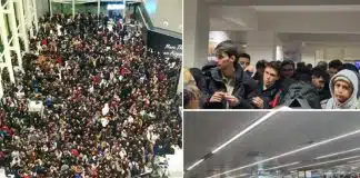 Deprem bölgesine gitmek için çağrılan eğitimli AFAD gönüllüsü isyan etti: Organizasyon yok, koordinasyon yok! AFAD gönüllüsü
