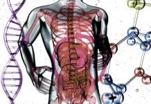 İnsan en fazla kaç yaşına kadar ömür sürebilir? insan ömür yaş